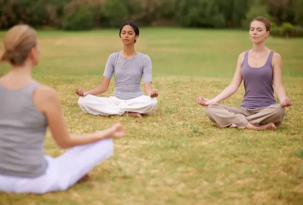 Lotus Grup Meditasyon Yoga Sağlıklı Vücut Rahatlama Egzersizleri Barış Zen — Stok fotoğraf