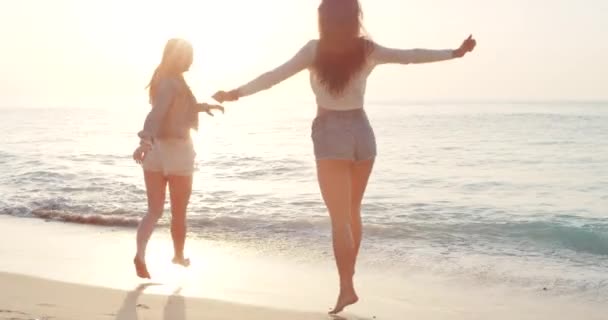 在意大利 女人或朋友在暑假 假日或休息期间玩耍 以便在海上建立感情 自由或快乐的人为了海滩 热带旅行或户外自然而跳水 — 图库视频影像