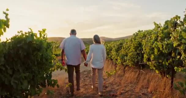 バックビュー カップルとブドウ園で手を保持 イタリアの田舎での旅行や休日 成熟した人々 一緒に絆と引退のための冒険 風と日没とのコミットメント — ストック動画