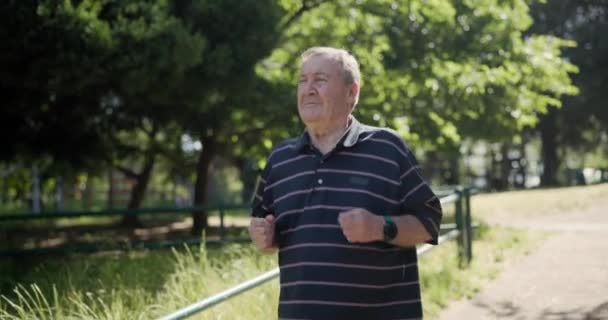 Volwassen Man Hardlopen Het Park Voor Training Outdoor Gezonde Cardiotraining — Stockvideo