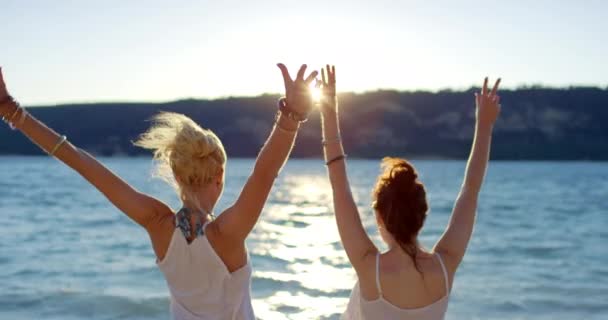 Женщины Друг Свобода Пляже Счастливый Сзади Летний Отдых Тропическом Острове — стоковое видео