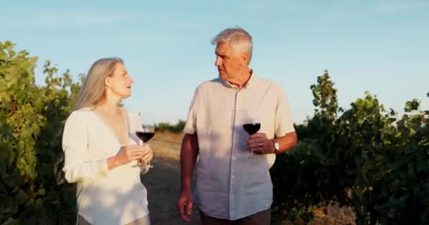 Senior Ζευγάρι Και Κρασί Υπαίθρια Στον Αμπελώνα Πόδια Συνομιλία Και — Αρχείο Βίντεο