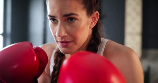トレーニングで女性 ボクシング 耐久性のある試合やスポーツのための挑戦と練習 ウェルネスセンターでのトレーニングや少女との戦闘機 ボクサー または健康や運動の進捗 — ストック動画