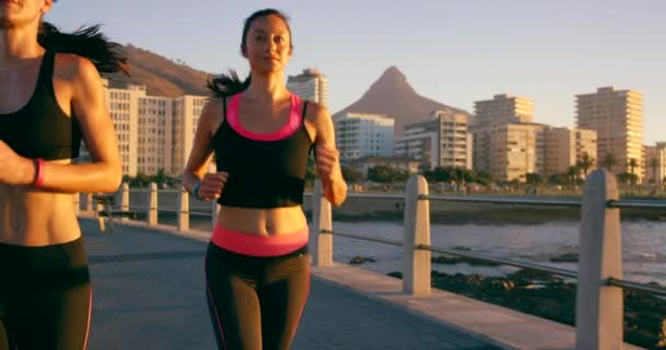 Женщины Бегущие Закат Утро Пляже Фитнесом Оздоровительных Кардио Марафонских Тренировок — стоковое видео
