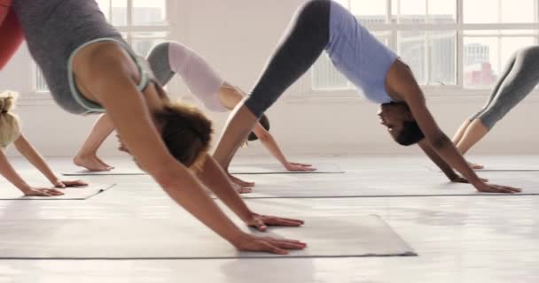 在瑜伽课上 多样性和伸展 包括普拉提 精神健康或眼镜蛇在健身 禅定或训练时的姿势 在室内体育馆进行热身运动或保持平衡的一组年轻女子或瑜伽队 — 图库视频影像