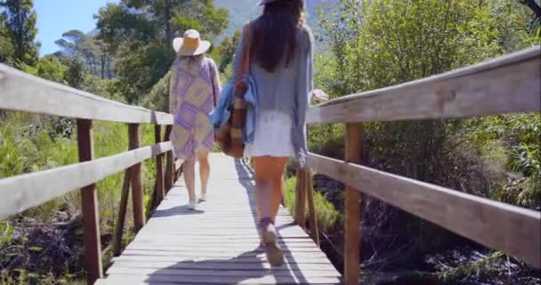 Γέφυρα Διακοπές Και Φίλοι Πόδια Στο Δάσος Καλοκαίρι Ταξίδια Πίσω — Αρχείο Βίντεο