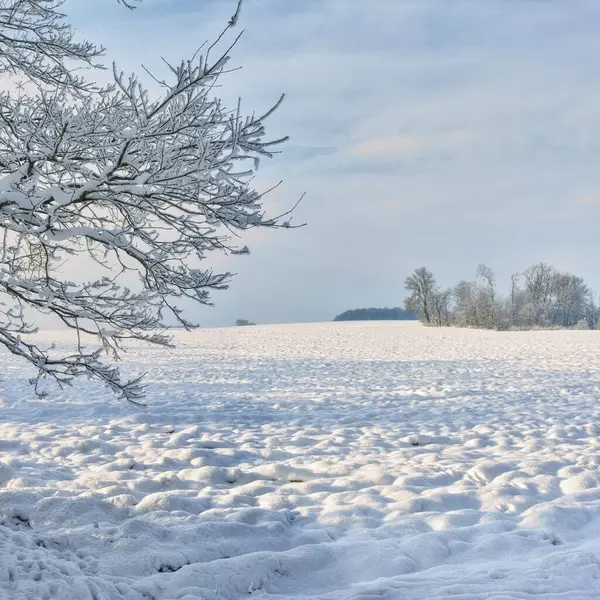 Árboles Cielo Nieve Invierno Con Paisaje Naturaleza Ambiente Clima Frío — Foto de Stock
