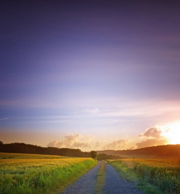 Yol, manzara ve arazi. Günbatımında seyahat, macera ya da doğada modellenmiş bir yolculuk için kırsalda. Amsterdam 'da yol, yol ve konum turizm için yol, yol ve çevre.