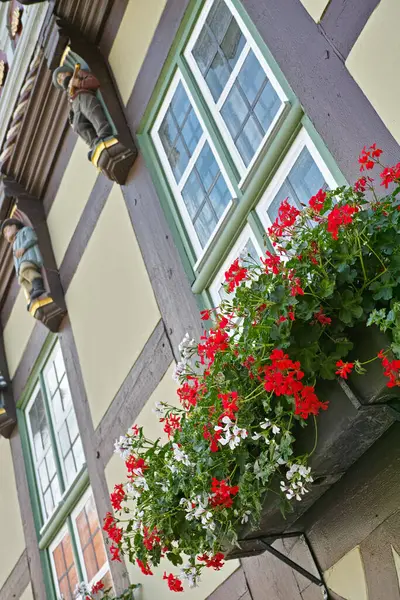 Kwiaty Okna Dom Zewn Trz Wystrojem Balkonem Lub Budynek Ciany — Zdjęcie stockowe