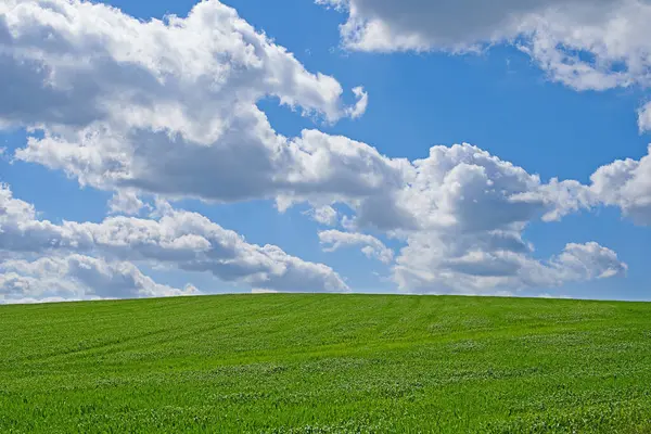 Blue sky, clouds and landscape in summer with sustainability, environment and zen in countryside. Field, nature and beauty with green grass for eco friendly, growth and horizon with lawn on earth.