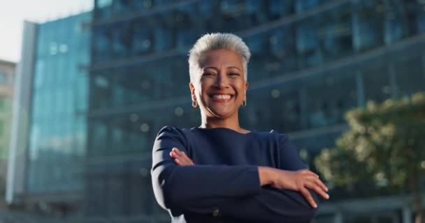 Face Olgun Kadın Için Şehirde Yönetici Ceo Şirket Açık Hava — Stok video