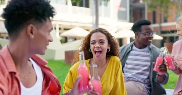 Amigos Grupos Bebidas Brindam Piquenique Feriado Com Bebidas Para Conexão — Vídeo de Stock