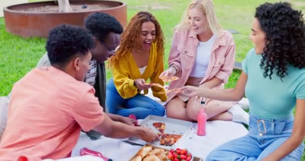 Teman Kelompok Dan Pizza Piknik Bersorak Untuk Ikatan Liburan Dengan — Stok Video