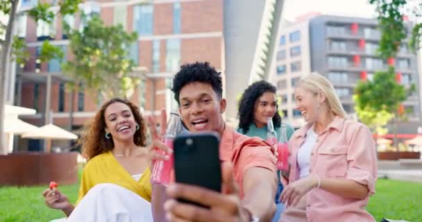 Mahasiswa Teman Teman Dan Selfie Piknik Taman Dengan Senyum Untuk — Stok Video