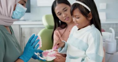 Çocuk, pediatrik dişçi ya da antrenmanda diş fırçalamayı öğretmek ya da diş hijyeninin çocuk dostu gösterimi. Ortodontist, ebeveyn ya da kız diş modeline göre ya da interaktif eğitimde ağız temizleme.