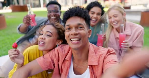 Studente Universitario Amici Selfie Picnic Nel Parco Con Sorriso Faccia — Video Stock