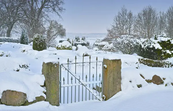 Χειμώνας Τοπίο Πύλη Στο Δάσος Χιόνι Παγωμένο Πρωινό Για Τις — Φωτογραφία Αρχείου