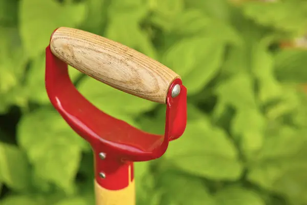 Garden Tool Spade Nature Closeup Environment Planting Equipment Growth Agriculture — Stock Photo, Image