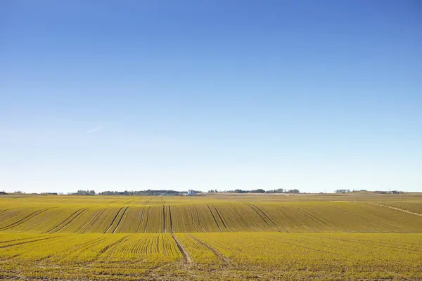 丹麦的景观 田野和草原 用于农业 天空为自然 有地平线 草地和自然环境 农村用于耕作 保护和住房的土地 草地和农田 — 图库照片