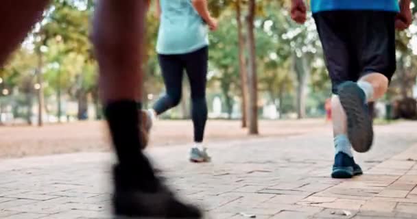 Personas Zapatillas Correr Para Carrera Fitness Entrenamiento Parque Para Club — Vídeo de stock