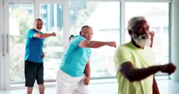フィットネス そして耐久性と退職でパンチを持つ上級者 健康センターでのアクティビティ ワークアウト グループ バランスの取れたトレーニングとパワーで進歩 — ストック動画