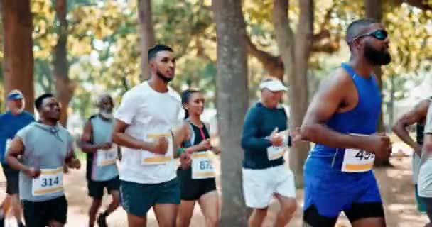 Skupina Maraton Běh Cvičením Soutěží Wellness Sluncem Vytrvalostí Kardio Lidé — Stock video