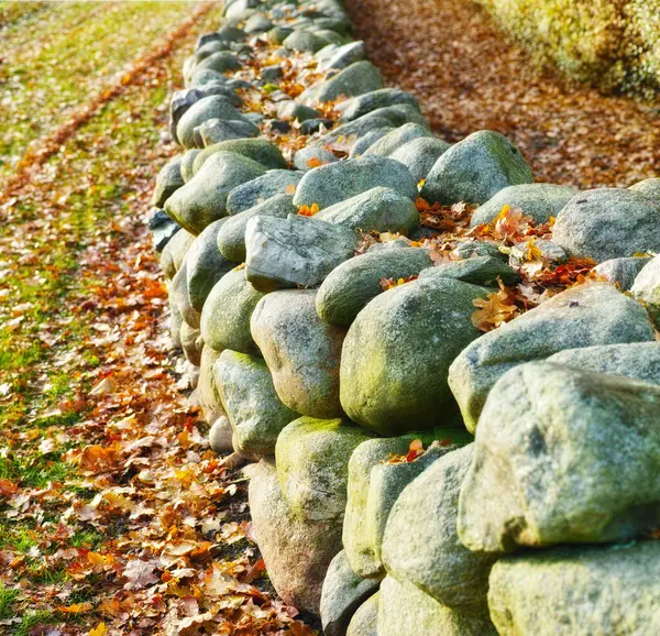 Stone, rock and leaf on earth with grass for autumn, nature and countryside outside in environment. Turf, ground and boulder in forest, park or wood with moss for landscape, ecology or flora.