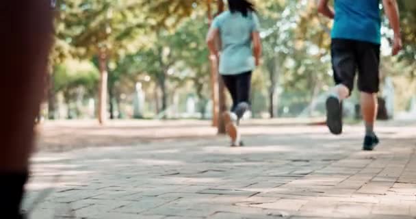 Groep Benen Hardlopen Voor Race Fitness Workout Park Voor Urban — Stockvideo