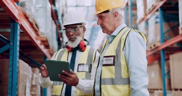 Senior Men Tablet Warehouse Inspection Discussion Collaboration Logistics Distribution Digital — Stock Video