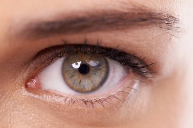 Model, yakın plan ve stüdyoda makyajlı yeşil göz ve kozmetik ya da mikropatenli optik sağlık. Kadın, sağlık hizmeti veya renk veya optometri veya göz hekimliğinde kozmetik kontakt lens.