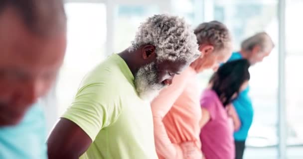 Modne Mennesker Strekk Treningsklasse Eldre Helse Velvære Trening Mosjon Senior – stockvideo
