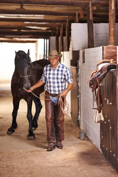 Cowboy, person and horse in stable for portrait with care, growth and development at farm, ranch or countryside. Man, animal or pet with love, connection and bonding for wellness with nature in Texas.