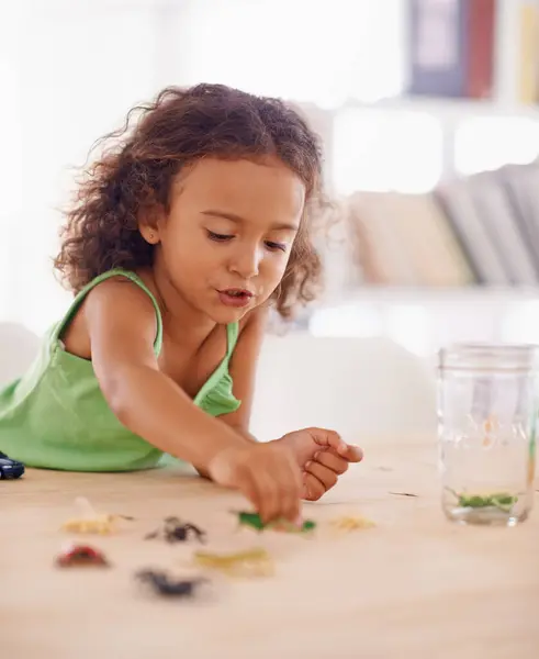 Fille Développement Enfant Insecte Jouet Pour Science Dans Salon Maison — Photo