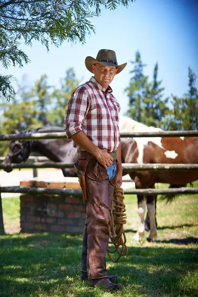 Retrato Vaquero Hombre Granja Con Soga Campo Rural Con Caballos —  Fotos de Stock