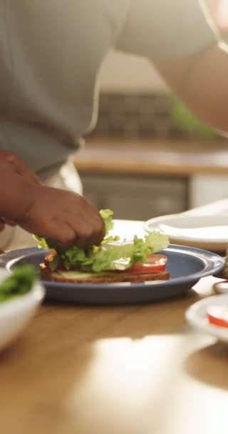 Primer Plano Mujer Niño Para Sándwich Cocina Con Queso Tomate — Vídeos de Stock