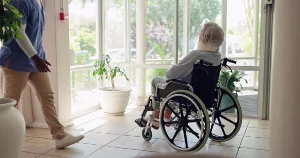 Yaşlı Kadın Tekerlekli Sandalye Pencere Emeklilik Hastalığı Olarak Hemşire Desteği — Stok video