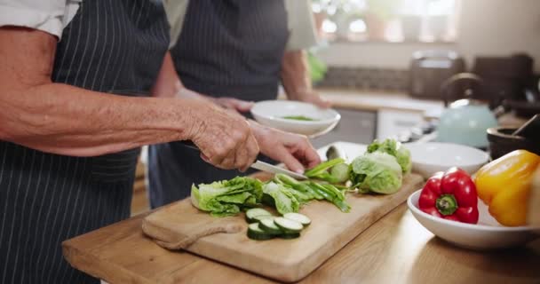 Personas Manos Verduras Cortadas Con Tazón Para Preparación Alimentos Dieta — Vídeos de Stock