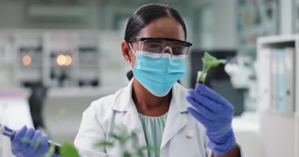 Science Masque Femme Avec Des Plantes Dans Des Éprouvettes Laboratoire — Video