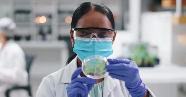 Wissenschaft Maske Und Frau Mit Pflanzenprobe Labor Für Forschung Sicherheit — Stockvideo