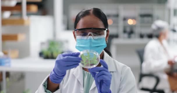 Biólogo Científico Mujer Con Planta Laboratorio Investigación Ciencia Para Solución — Vídeos de Stock