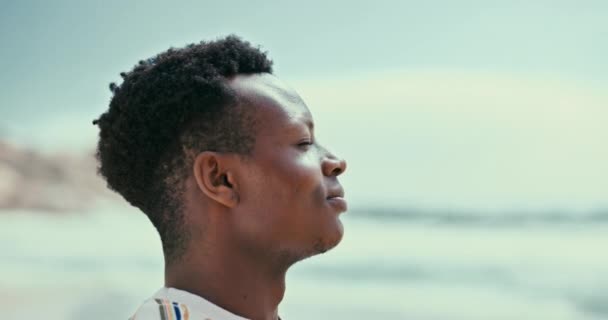 Riant Plage Homme Noir Avec Des Vacances Été Vue Avec — Video