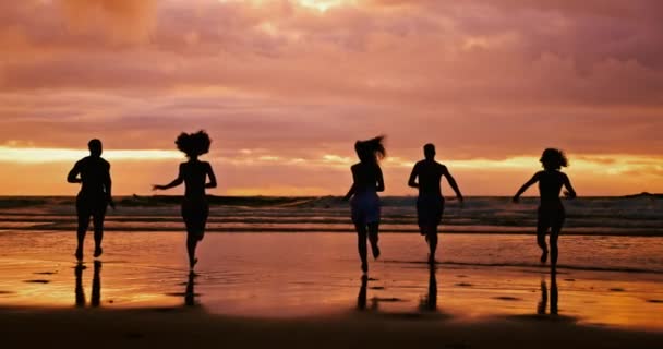 シルエット ビーチ 友人たちは夏休み 一緒にアウトドアを旅行するために日没で走っています 夕暮れ 海水のグループ パーティー 自然の中でバックビュー — ストック動画