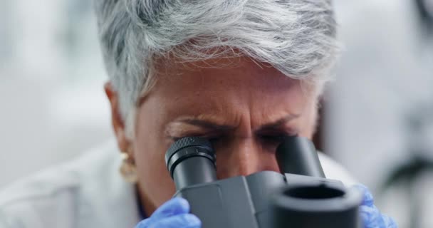 顕微鏡 女性は バイオテクノロジーと化学テストの研究で研究室に閉じ込められました 成熟した 科学者 医薬品の結果の分析と細菌の分子から学ぶ — ストック動画
