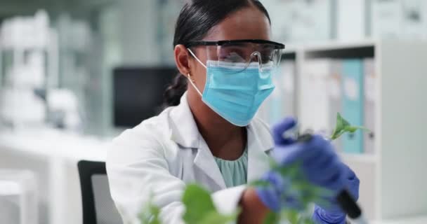 Ciencia Investigación Mujer Con Plantas Pipeta Profesional Con Una Máscara — Vídeos de Stock
