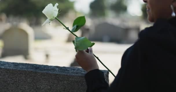 Rose Cmentarz Lub Ręce Osoby Przy Nagrobku Ceremonię Śmierci Pogrzeb — Wideo stockowe