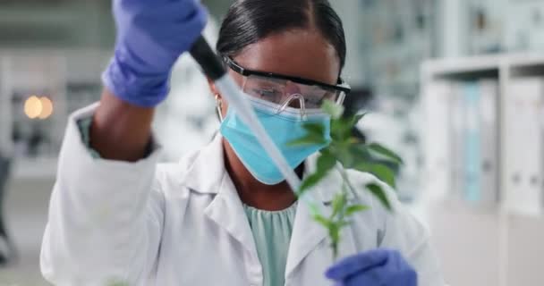 Ciência Máscara Mulher Com Plantas Pipeta Laboratório Pesquisa Segurança Engenharia — Vídeo de Stock