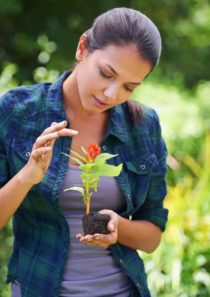 Woman, gardening and plants with soil, flowers and hobby with fresh air or spring with earth day. Person, outdoor or girl with nature, peace or countryside with agriculture, growing or sustainability.