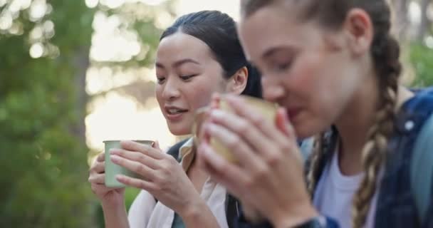 Friends Drink Conversation Hike Outdoors Joke Hot Beverage Break Trek — Stock Video