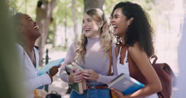Oktatás Sokszínűség Női Barátok Együtt Nevetnek Egyetemi Kampuszon Nyáron Iskola — Stock videók