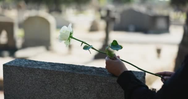 Kwiaty Cmentarz Lub Ręce Osoby Przy Nagrobkach Ceremonię Śmierci Pogrzeb — Wideo stockowe